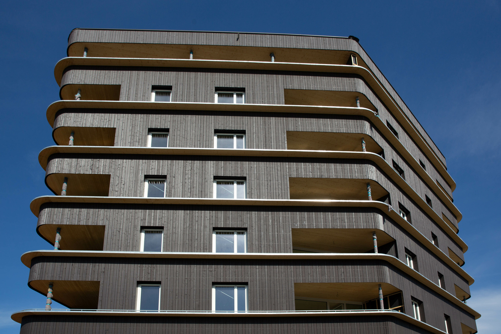 14032024 Rheindorf Lustenau - -3046
