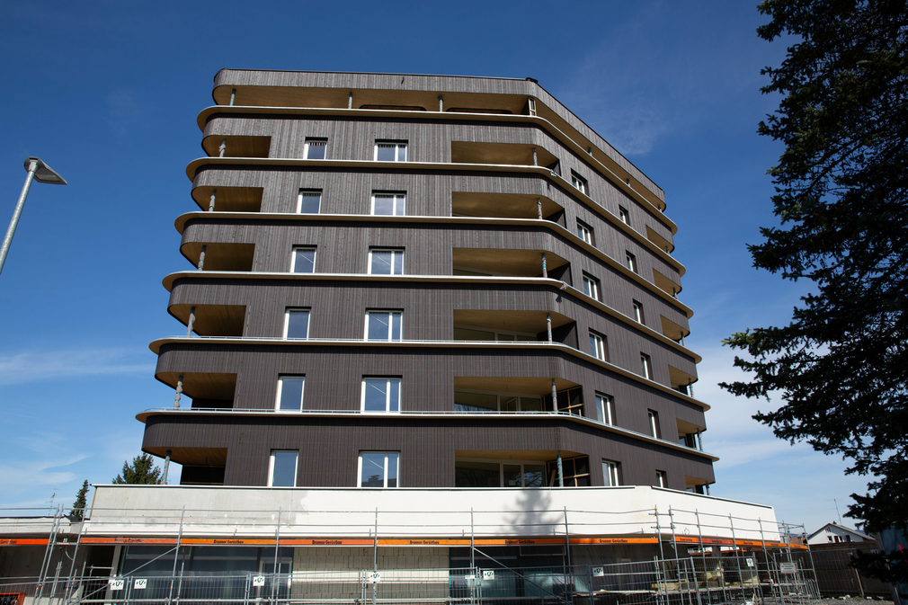 14032024 Rheindorf Lustenau - -3052