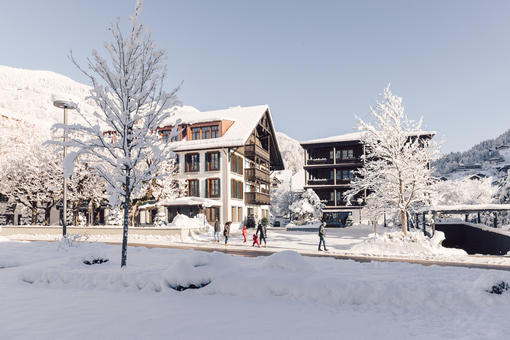taube_winter_2023_danielzangerl _041