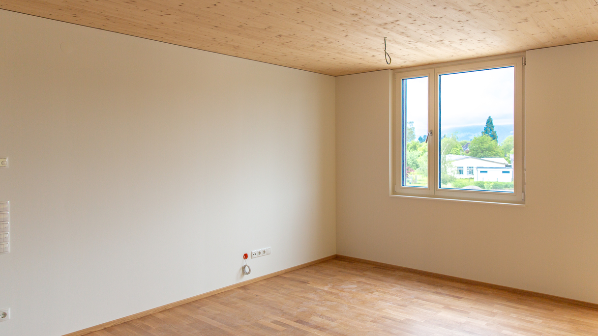 Rheindorf Lustenau-3971.jpg